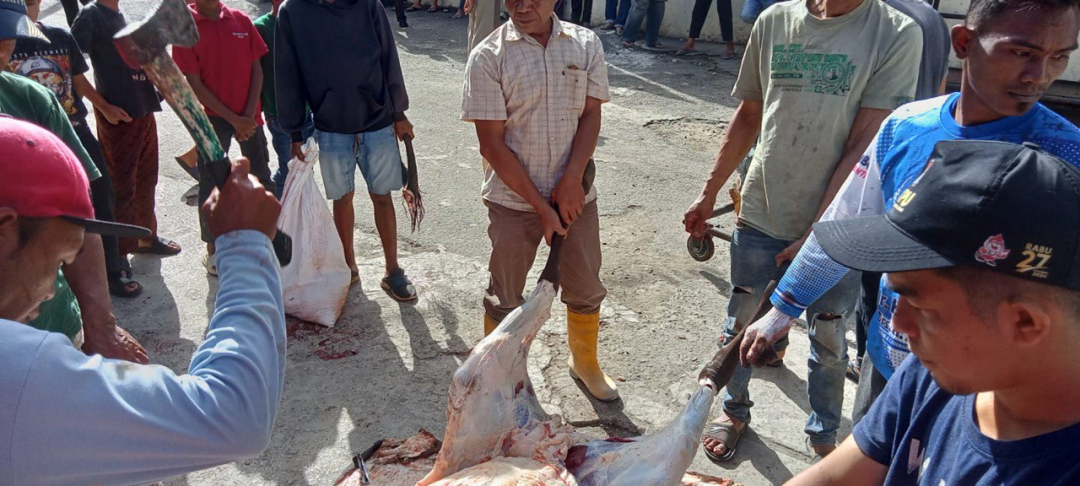 Qurban Penuh Berkah: Masjid Asy-Syifaa’ Tuntaskan Penyembelihan dengan Lancar