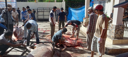 Qurban 1446H           