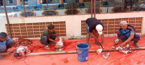 Qurban 1446H           