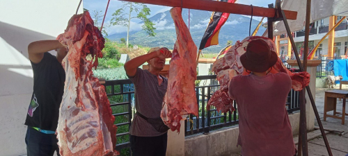 Qurban 1446H